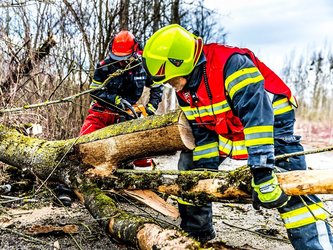 Feuerwehrleute sägen umgestürzten Baum